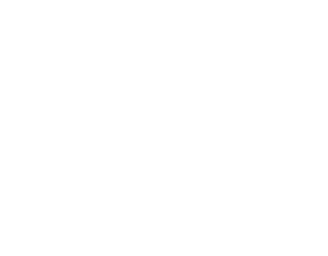Logo Unión Europea